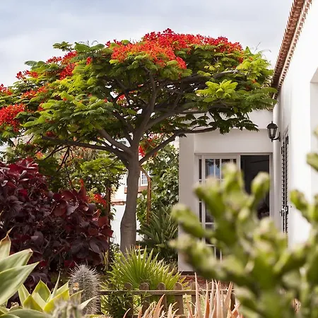 Villa Madreselva Playa de las Américas